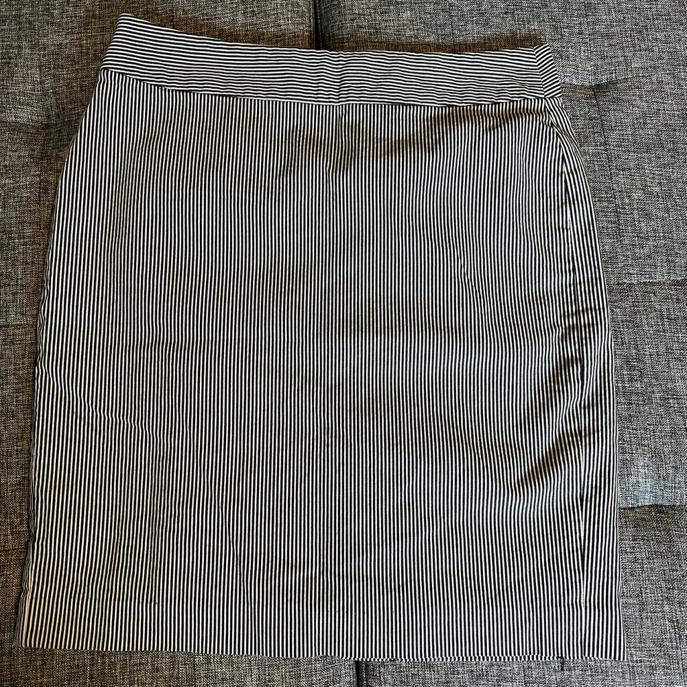 Banan Republic Skirt